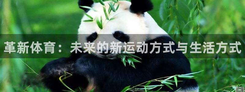 vsport体育官方正版app五金厂:革新体育:未来的新运动
