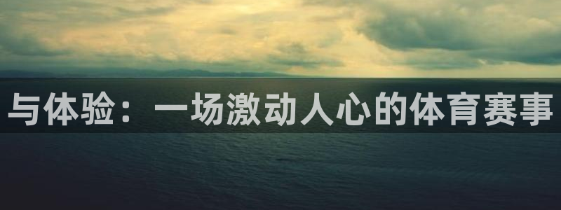 vsport体育官方正版app五金厂:与体验:一场激动人心的