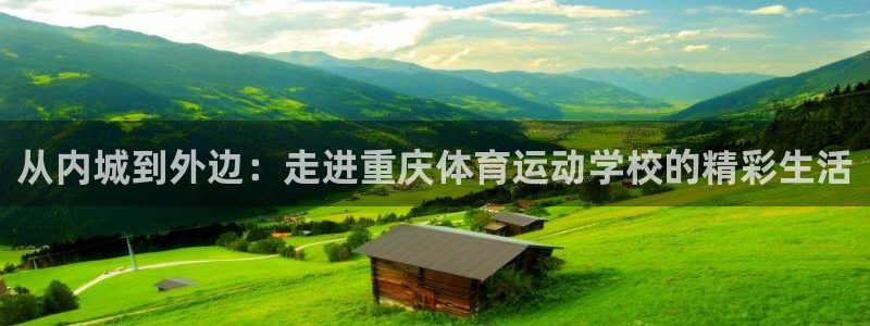 vsport体育官方正版app集团E.ON:从内城到外边:走