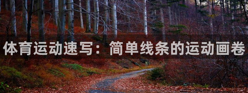 海南vsport体育官网下载:体育运动速写:简单线条的运动画