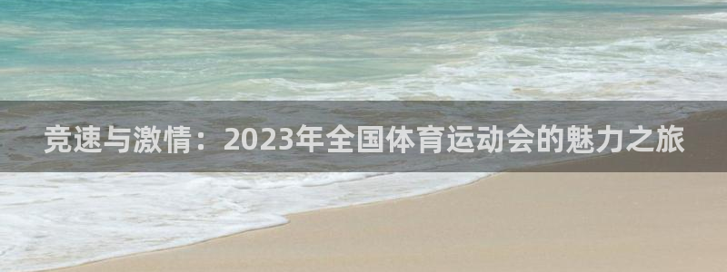 vsport体育官网下载平台:竞速与激情:2023年全国体育