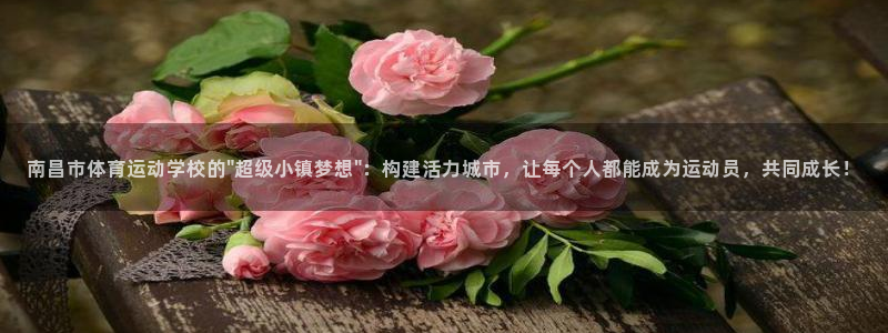 vsport体育官方正版app官方:南昌市体育运动学校的\