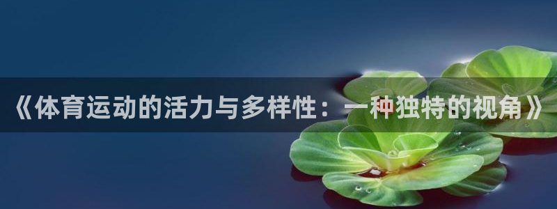vsport体育官方正版app娱乐下载:《体育运动的活力与多